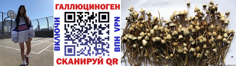 где найти наркотики  Кувшиново  Галлюциногенные грибы прущие грибы 